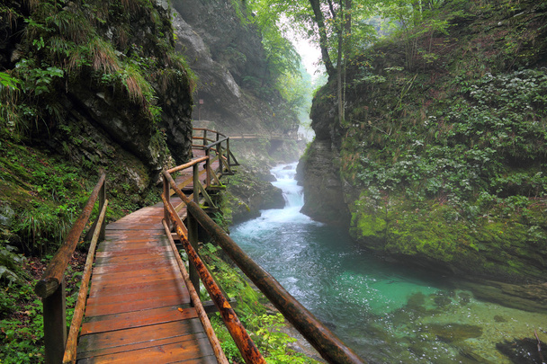 Canyon Vintgar, Triglav - Eslovenia
, - Foto, imagen