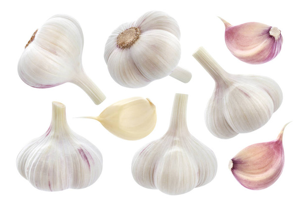 Garlic isolated on white background. Collection - Photo, Image