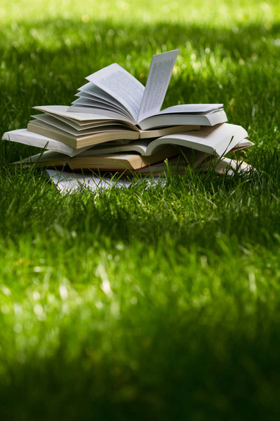 open books on grass in a green park - Foto, afbeelding
