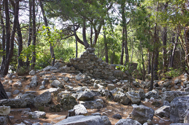 Αρχαία παλιά ερείπια τη διαδρομή πεζοπορίας Lycian σε πέτρες ηλικίας Φασηλίδα στο δάσος πεύκων - Φωτογραφία, εικόνα