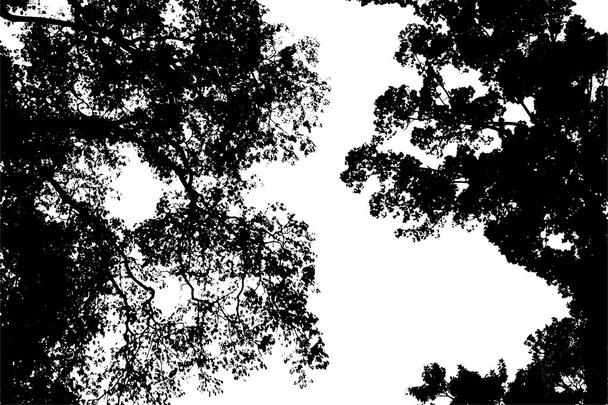 drzewo sylwetka wektor - Wektor, obraz