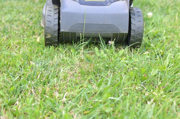 Cortador de grama em ação
 - Foto, Imagem