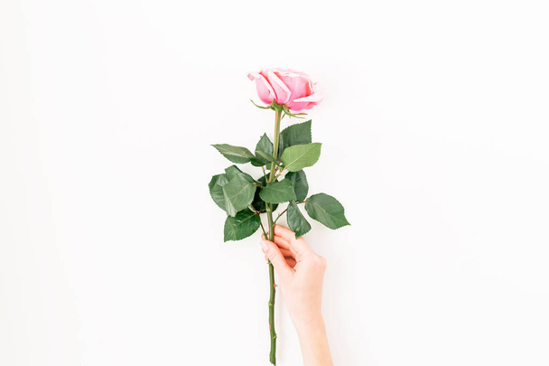 Pink rose in  hand - Φωτογραφία, εικόνα