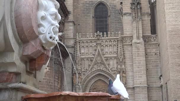 Brunnen auf dem Platz der heiligen Patronin der Könige (Plaza virgen de los reyes), auch Königsplatz genannt. Sevilla, Andalusien, Südspanien. - Filmmaterial, Video
