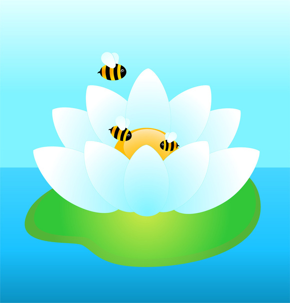 weiße Seerose mit lustigen Bienen - Vektor, Bild
