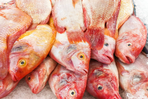 Κόκκινο λυθρίνι ψάρια τιλάπια στον πάγο για πώληση στην αγορά - Φωτογραφία, εικόνα