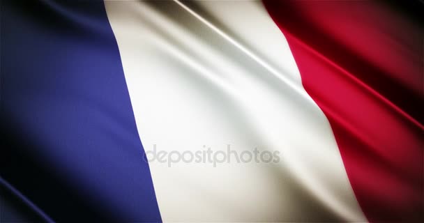 France realistic national flag seamless looping waving animation - Footage, Video