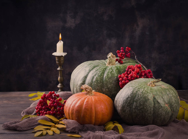 Autumn still life with pumpkins and flowers - Foto, imagen