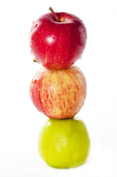 Tree apples - Foto, Bild