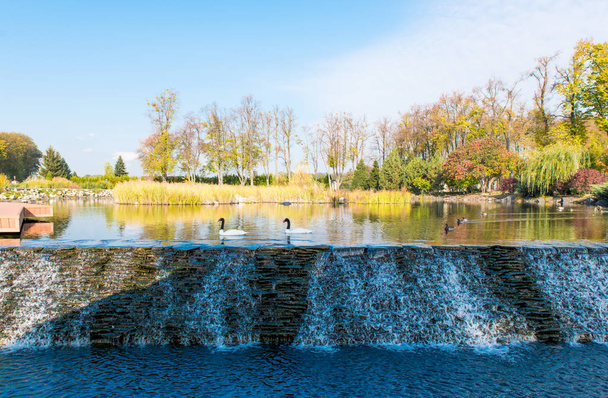 Пейзаж озера восени
  - Фото, зображення