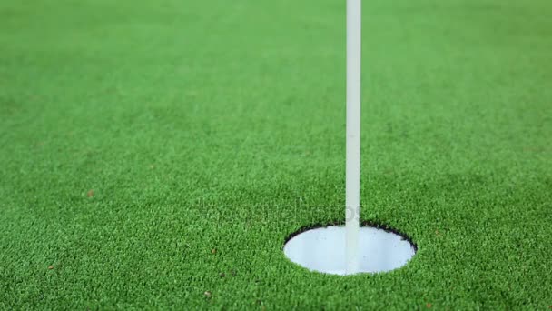 Гравець у гольф на зелений пропускає тісні патт - Кадри, відео