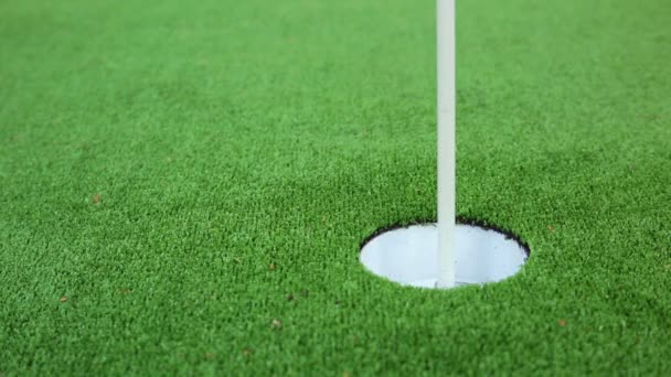 Golfer on the green misses a close putt - Footage, Video