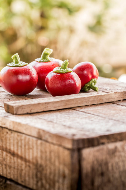 Fresh sweet red pepper on old wooden background. - Фото, изображение