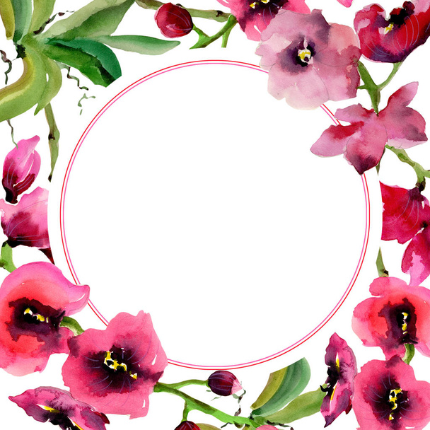 Wildflower orchid flower frame in a watercolor style. - Фото, зображення