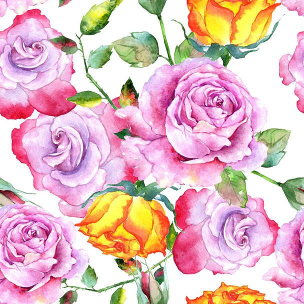 Wildflower τριαντάφυλλο λουλούδι μοτίβο σε στυλ υδροχρώματος. - Φωτογραφία, εικόνα