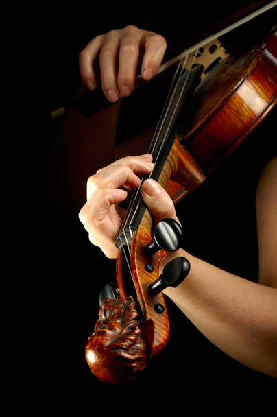 Musician playing violin isolated on black - Фото, зображення