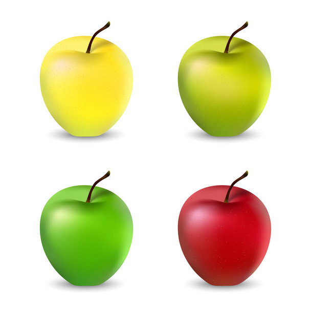 A set of apples - Vector, imagen