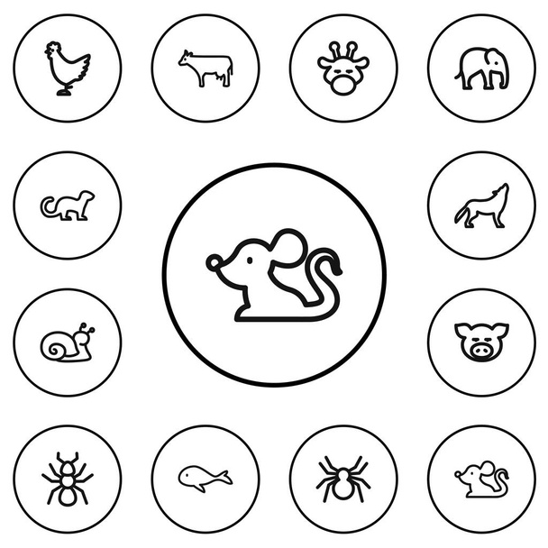 Sada 12 ikon osnovy upravitelné Zoo. Obsahuje symboly kohouta, tchoř, Camelopard a další. Lze použít pro webové, mobilní, Ui a infografika Design. - Vektor, obrázek