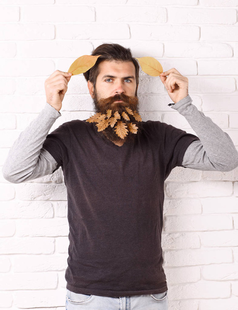 hipster with leaves in beard - Φωτογραφία, εικόνα