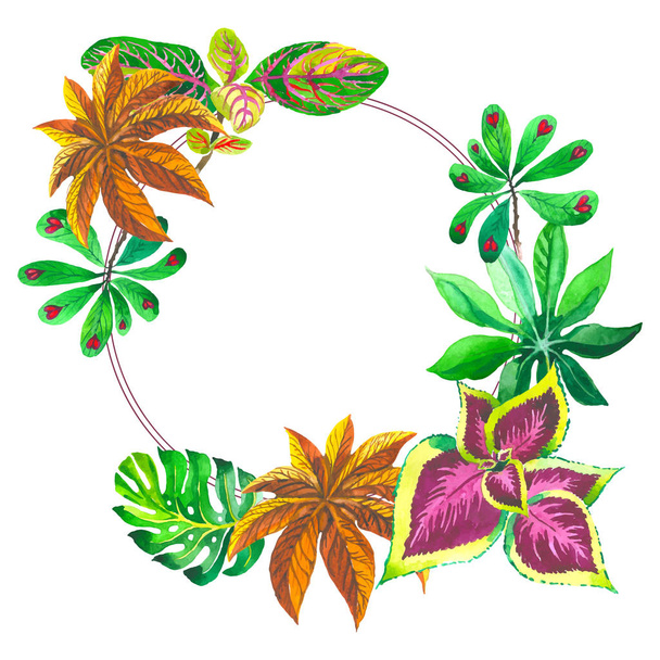 Тропічний Гаваї листя пальмові дерева кадру в стилі вектор. - Вектор, зображення