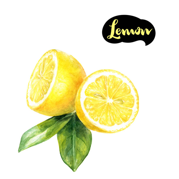 Lemon watercolor illustration - Photo, Image