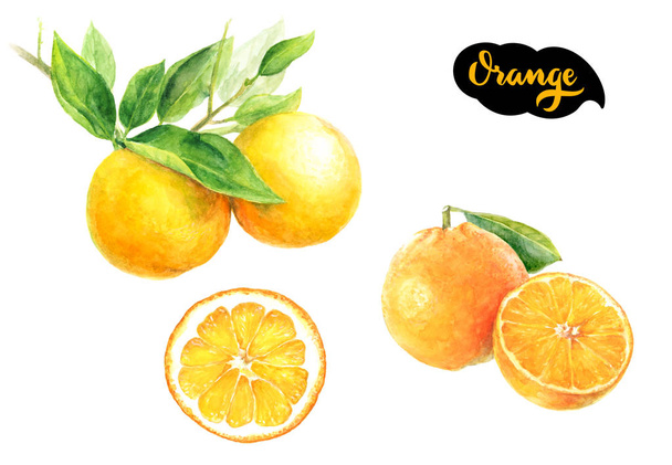 cítricos de naranja  - Foto, Imagen