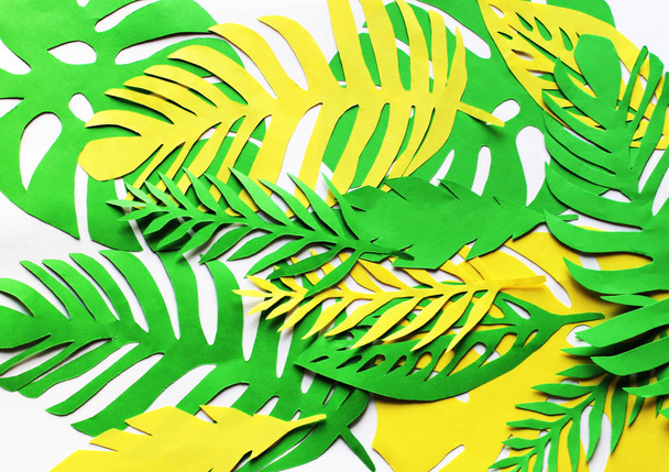 Cut yellow and green leaves on the white background. - Photo, image