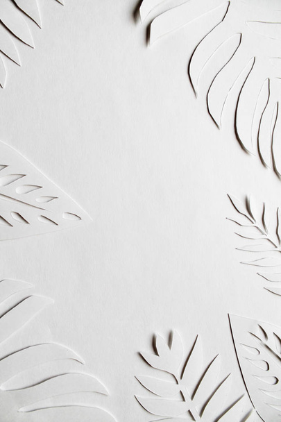 White paper cut leaves on the white background.  - Photo, image