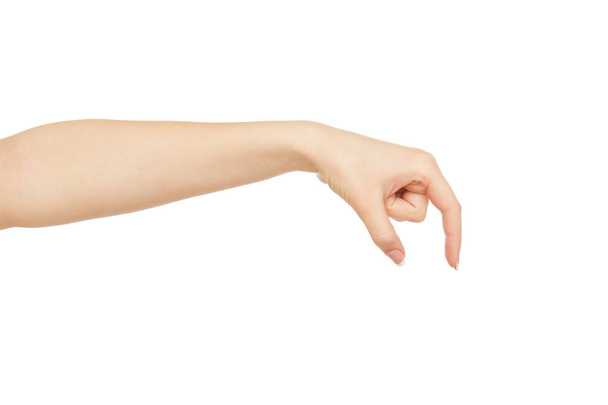 weibliche Hand, die etwas aufhebt, schneidet, schneidet - Foto, Bild