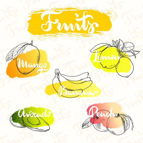 Mango, citroen, banaan, avocado en perzik - Vector, afbeelding