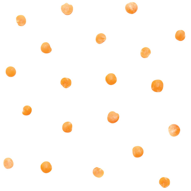 Lentil seeds  pattern - Vector, Image