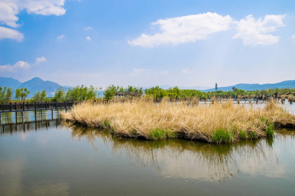 Lijiang Lashi Lake Wetlands est un endroit pittoresque naturel national près de la ville de Lijiang, en Chine
.  - Photo, image
