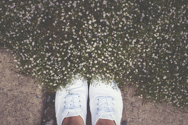 stopy i kwiatów letnich - Zdjęcie, obraz