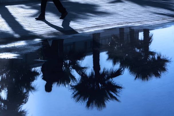 Palmiye ve bir adam yürüyüş karanlık yansımaları.  - Fotoğraf, Görsel