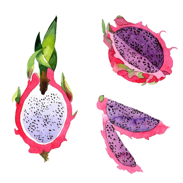 Exotic pitaya wild frukt in a watercolor style isolated. - Fotó, kép