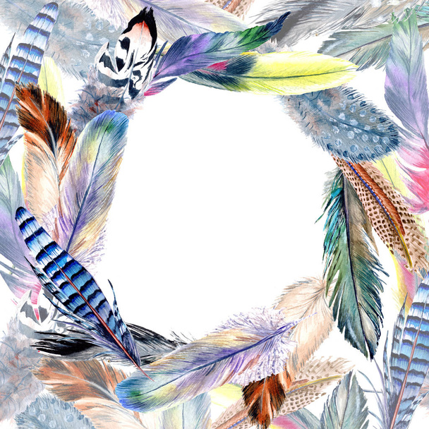 Watercolor bird feather frame from wing. - Foto, imagen