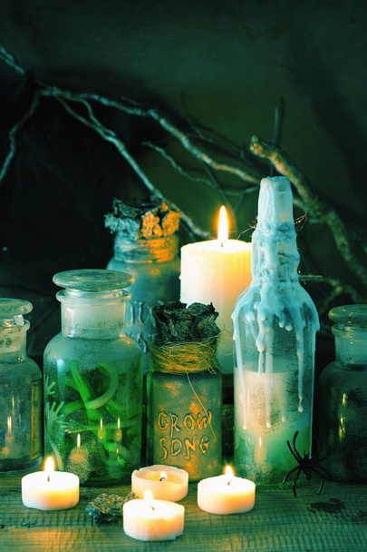 cadı eczacı kavanozları sihirli iksirler cadılar bayramı dekorasyonu - Fotoğraf, Görsel