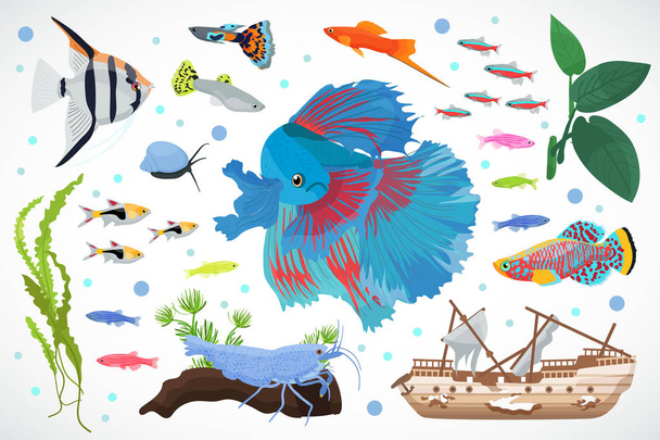 水族館の魚、海藻水中のシームレスなパターン ベクトル図 - ベクター画像