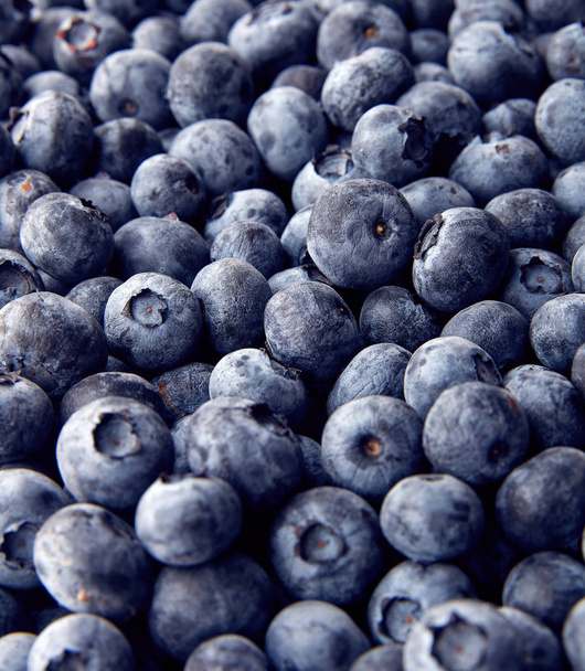Freshly picked blueberries. Wild berry, Healthy food - Foto, imagen