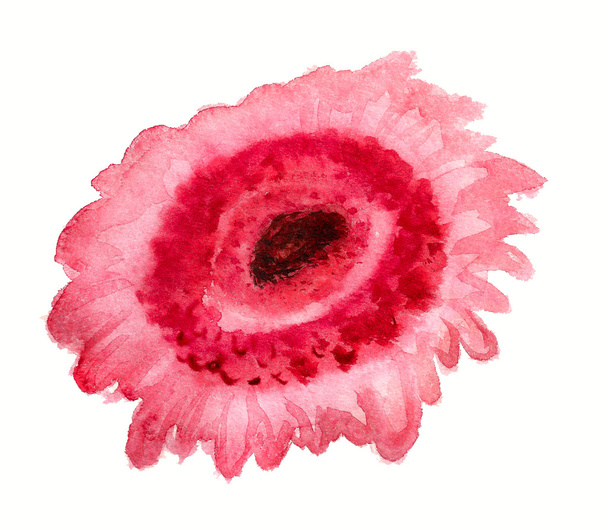 Abstract pink gerbera - Фото, зображення