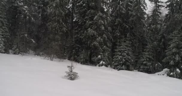Aeria Ansicht der Winterlandschaft - Filmmaterial, Video
