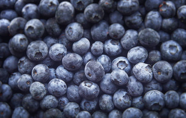 Freshly picked blueberries, Healthy food - Фото, изображение