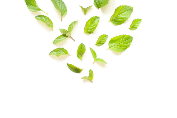 Composition with Fresh mint leaves - Foto, afbeelding