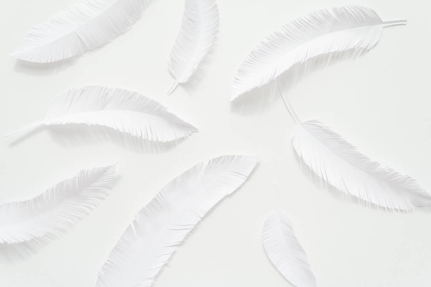 the feathers of a bird made of white paper on white background - Photo, image