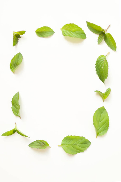 Composition with Fresh mint leaves - Fotó, kép