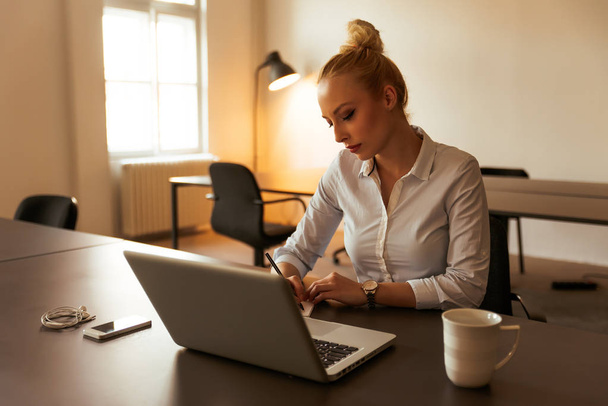 Woman working with laptop - Fotoğraf, Görsel