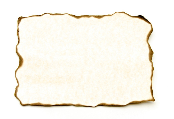 Papiro - Foto, imagen