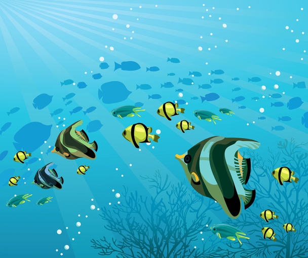 Group of colored fish at the sea - Vetor, Imagem