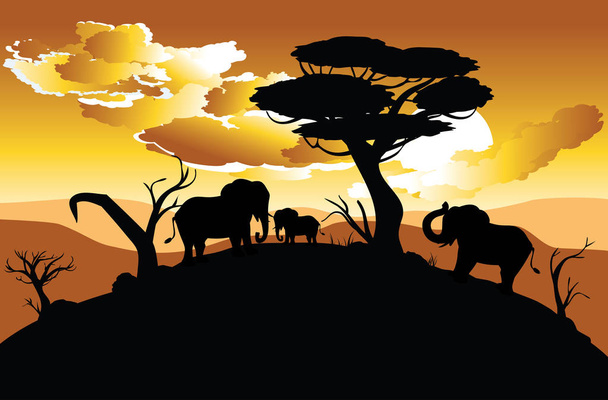 Fil ile Afrika günbatımı - Vektör, Görsel