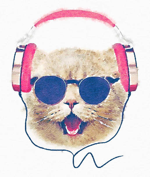 Vicces macska napszemüveg és fülhallgató - Fotó, kép